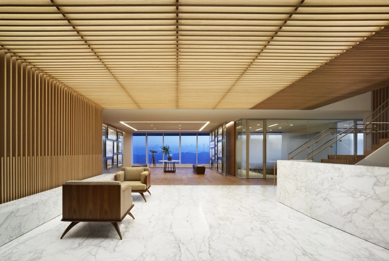 C-Level & Executives